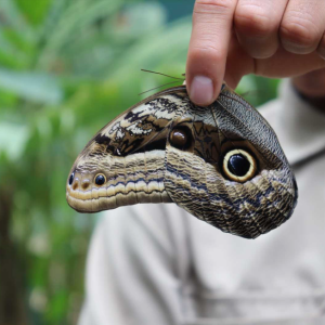 Machu Picchu en carro 2D/1N