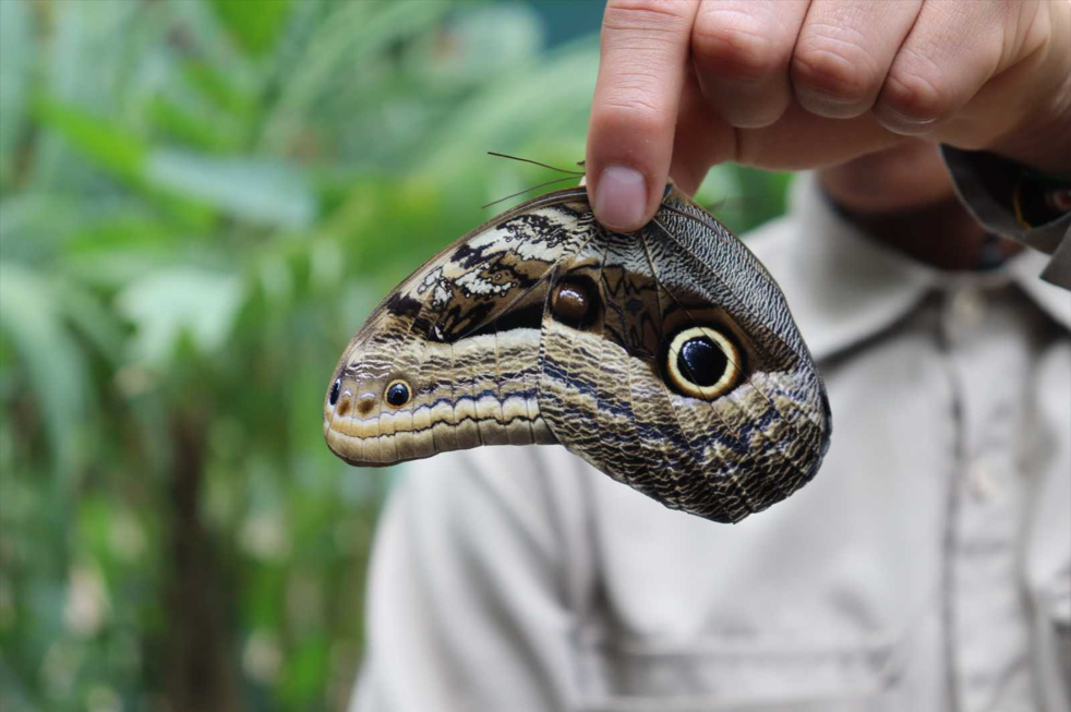 Machu Picchu en carro 2D/1N