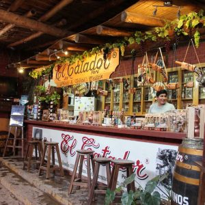 Tour Bodegas Ica - Piscos - Vinos.